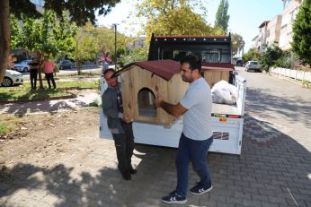 4-ekim-hayvanlari-koruma-gunu-18-346x231 EDREMİTLİ KEDİLERİN EVİ OLDU