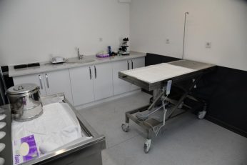 bbbden_edremite_sokak_hayvanlari_tedavi_merkezi_10_800x533-346x231 BBB’DEN, EDREMİT’E SOKAK HAYVANLARI TEDAVİ MERKEZİ