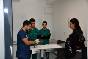 bbbden_edremite_sokak_hayvanlari_tedavi_merkezi_11_800x533-346x231 BBB’DEN, EDREMİT’E SOKAK HAYVANLARI TEDAVİ MERKEZİ