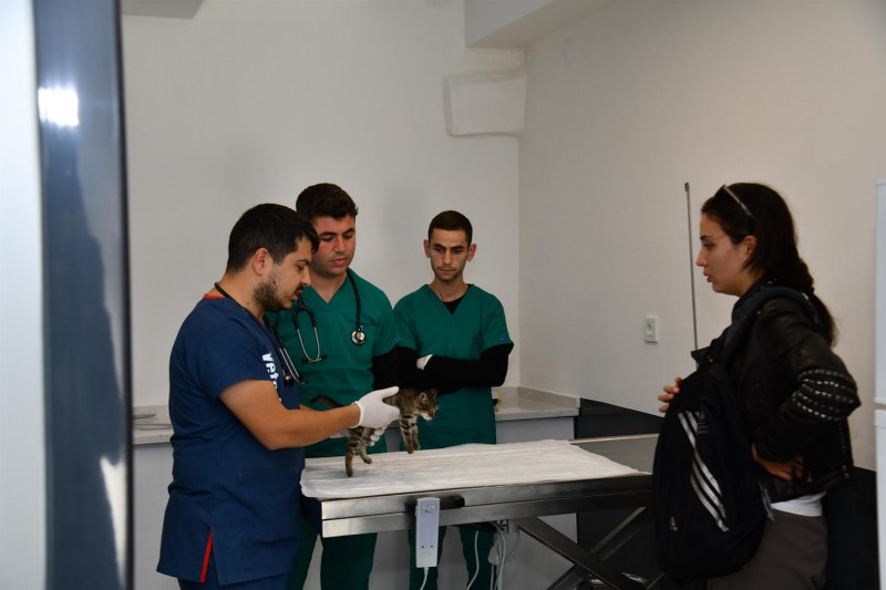 bbbden_edremite_sokak_hayvanlari_tedavi_merkezi_11_800x533 BBB’DEN, EDREMİT’E SOKAK HAYVANLARI TEDAVİ MERKEZİ