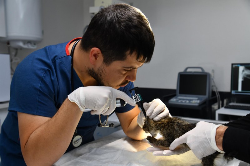 bbbden_edremite_sokak_hayvanlari_tedavi_merkezi_12_800x533 BBB’DEN, EDREMİT’E SOKAK HAYVANLARI TEDAVİ MERKEZİ