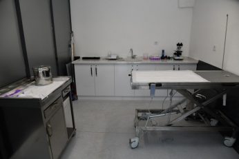 bbbden_edremite_sokak_hayvanlari_tedavi_merkezi_2_800x533-1-346x231 BBB’DEN, EDREMİT’E SOKAK HAYVANLARI TEDAVİ MERKEZİ