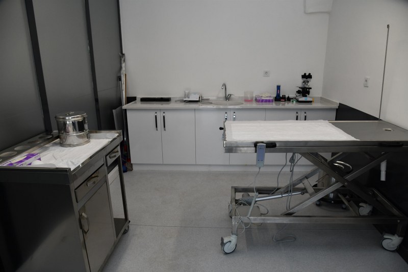 bbbden_edremite_sokak_hayvanlari_tedavi_merkezi_2_800x533-1 BBB’DEN, EDREMİT’E SOKAK HAYVANLARI TEDAVİ MERKEZİ