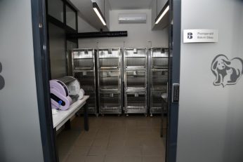 bbbden_edremite_sokak_hayvanlari_tedavi_merkezi_3_800x533-1-346x231 BBB’DEN, EDREMİT’E SOKAK HAYVANLARI TEDAVİ MERKEZİ