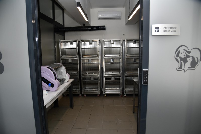 bbbden_edremite_sokak_hayvanlari_tedavi_merkezi_3_800x533 BBB’DEN, EDREMİT’E SOKAK HAYVANLARI TEDAVİ MERKEZİ