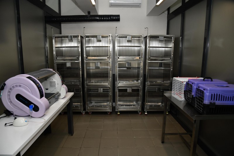 bbbden_edremite_sokak_hayvanlari_tedavi_merkezi_4_800x533-1 BBB’DEN, EDREMİT’E SOKAK HAYVANLARI TEDAVİ MERKEZİ