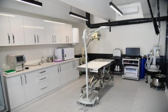 bbbden_edremite_sokak_hayvanlari_tedavi_merkezi_5_800x533-346x231 BBB’DEN, EDREMİT’E SOKAK HAYVANLARI TEDAVİ MERKEZİ