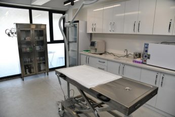 bbbden_edremite_sokak_hayvanlari_tedavi_merkezi_6_800x533-346x231 BBB’DEN, EDREMİT’E SOKAK HAYVANLARI TEDAVİ MERKEZİ