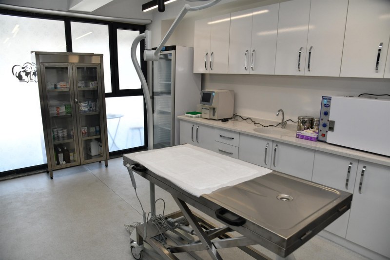 bbbden_edremite_sokak_hayvanlari_tedavi_merkezi_6_800x533 BBB’DEN, EDREMİT’E SOKAK HAYVANLARI TEDAVİ MERKEZİ