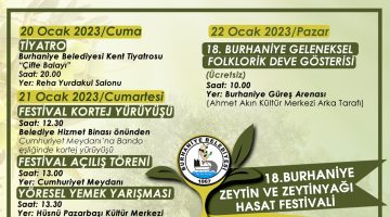 BURHANİYE’DE ZEYTİN HASAT FESTİVALİ VE DEVE GÜREŞLERİ BAŞLIYOR