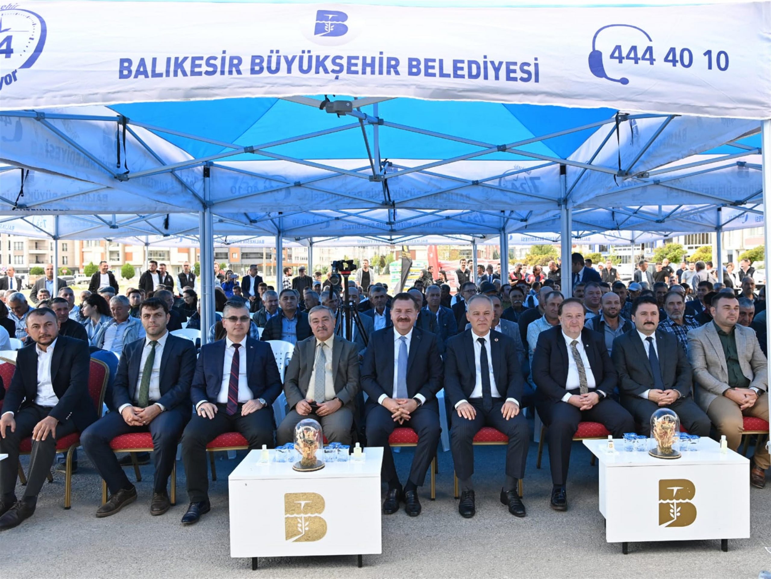 sut-otu-1-scaled BÜYÜKŞEHİR, ÜRETİCİYE 130 BİN KİLOGRAM SÜT OTU TOHUMU DAĞITTI