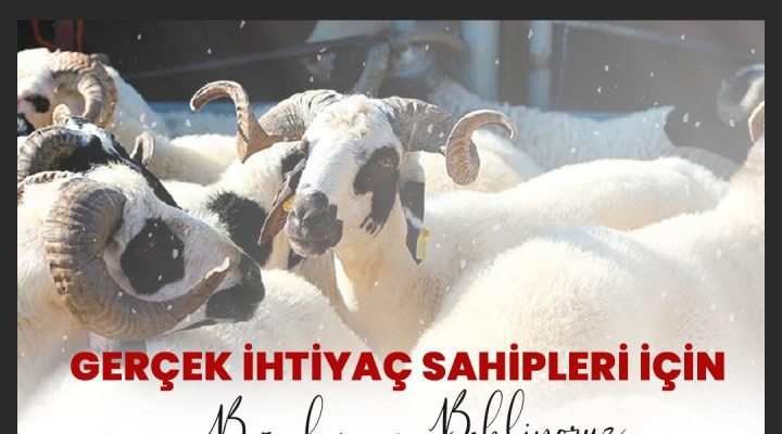 BURHANİYE BELEDİYESİ, KURBAN ETLERİNİ  İHTİYAÇ SAHİPLERİNİN SOFRALARINA ULAŞTIRIYOR