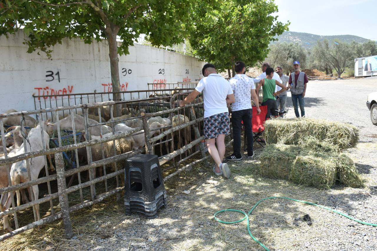 Edremit-Kurban-Bayramina-hazir-HABER-11 Edremit Belediyesi Kurban Bayramı’na hazır