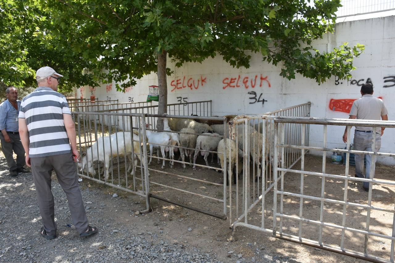 Edremit-Kurban-Bayramina-hazir-HABER-2 Edremit Belediyesi Kurban Bayramı’na hazır