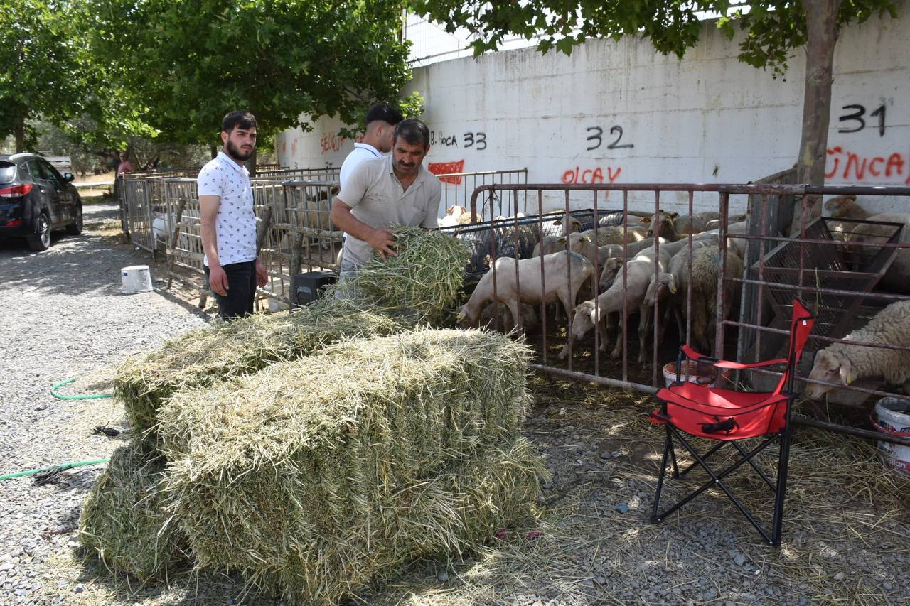 Edremit-Kurban-Bayramina-hazir-HABER-5 Edremit Belediyesi Kurban Bayramı’na hazır