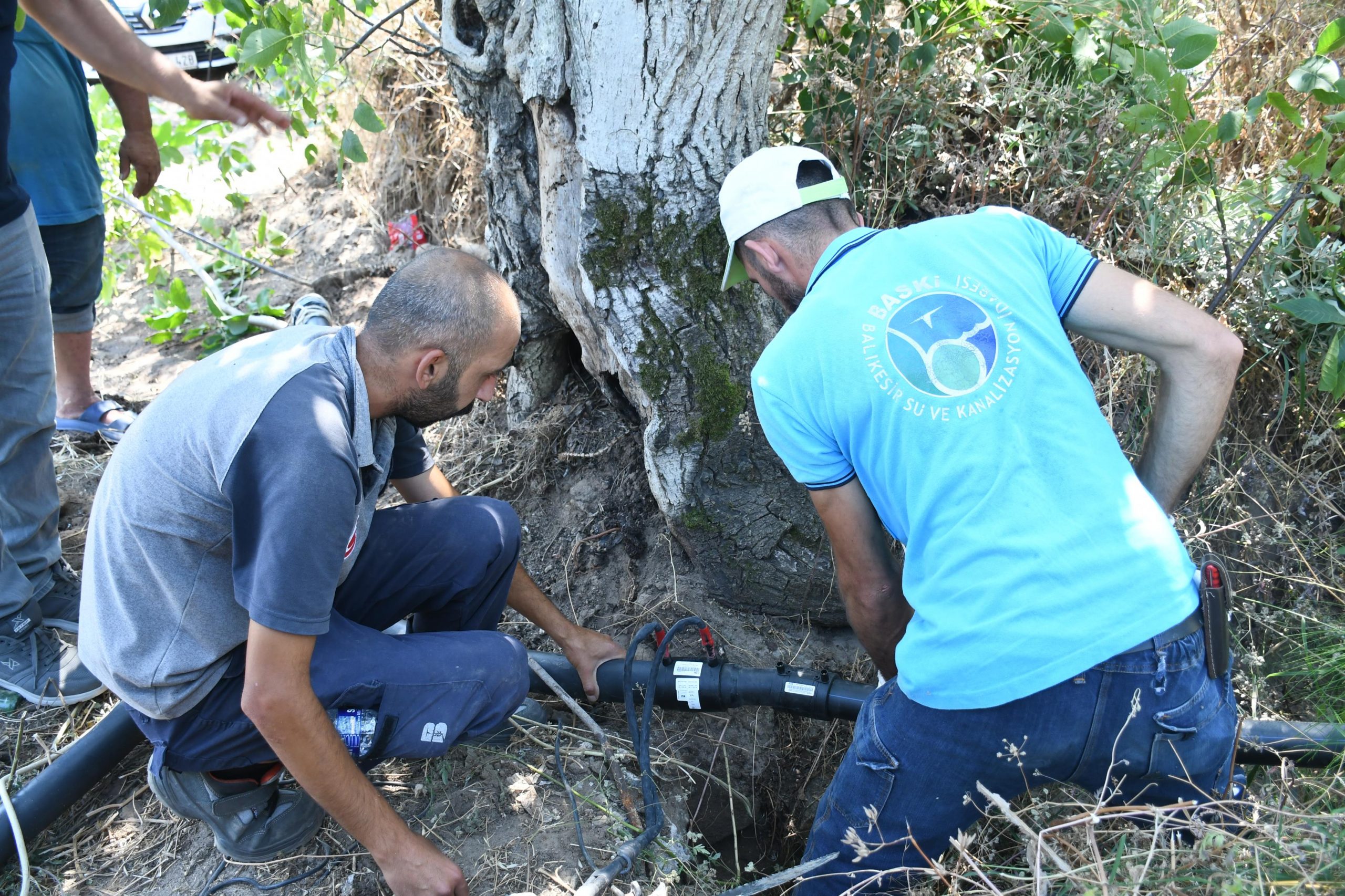 baskan_akin_erdekte_20_bin_zeytin_agacini_suya_kavusturdu_3-scaled Başkan Akın, Erdek’te 20 bin zeytin ağacını suya kavuşturdu