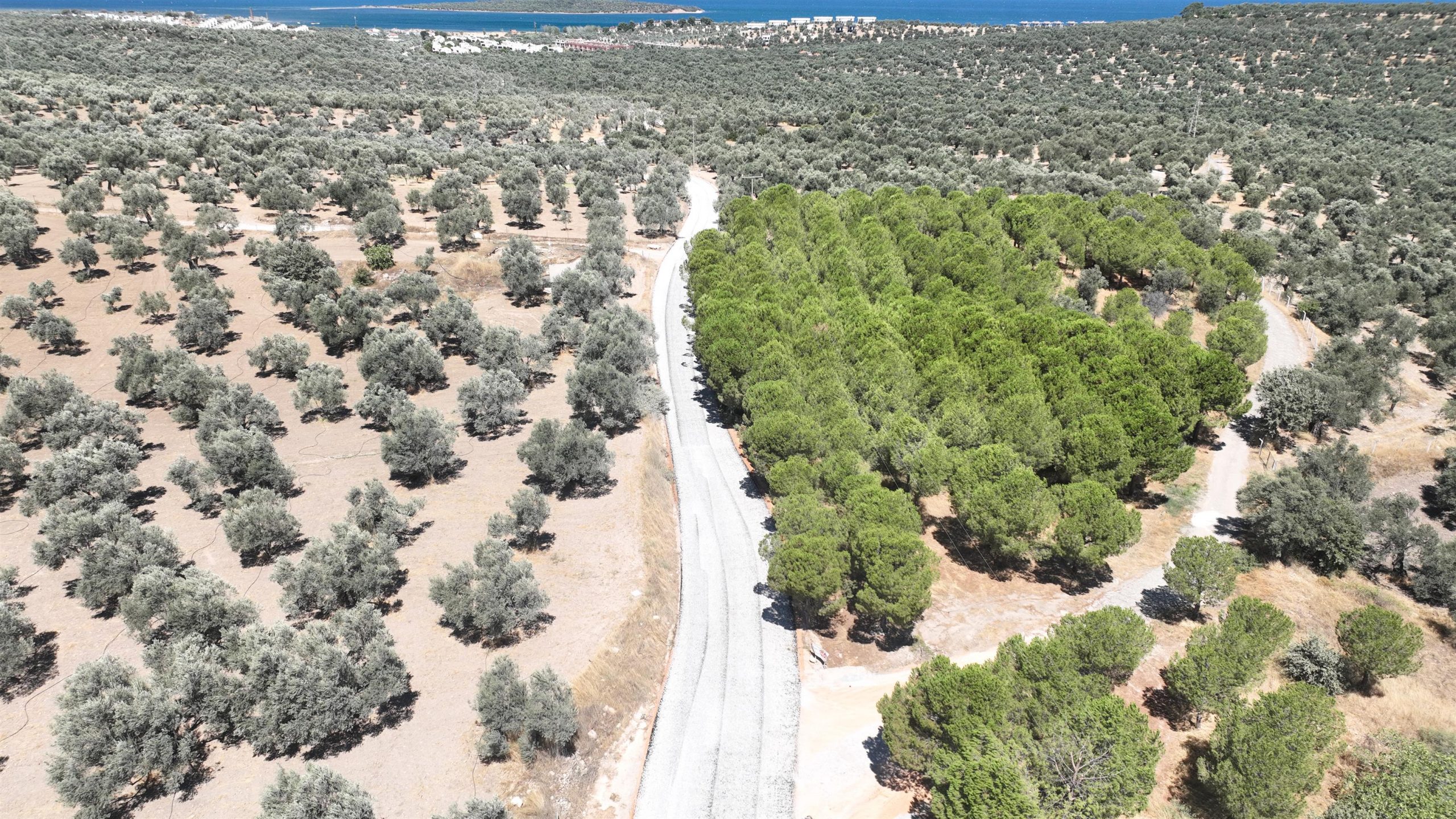 gomec-oren_2-scaled Büyükşehir, 4 ayda 30 kilometre yol yaptı