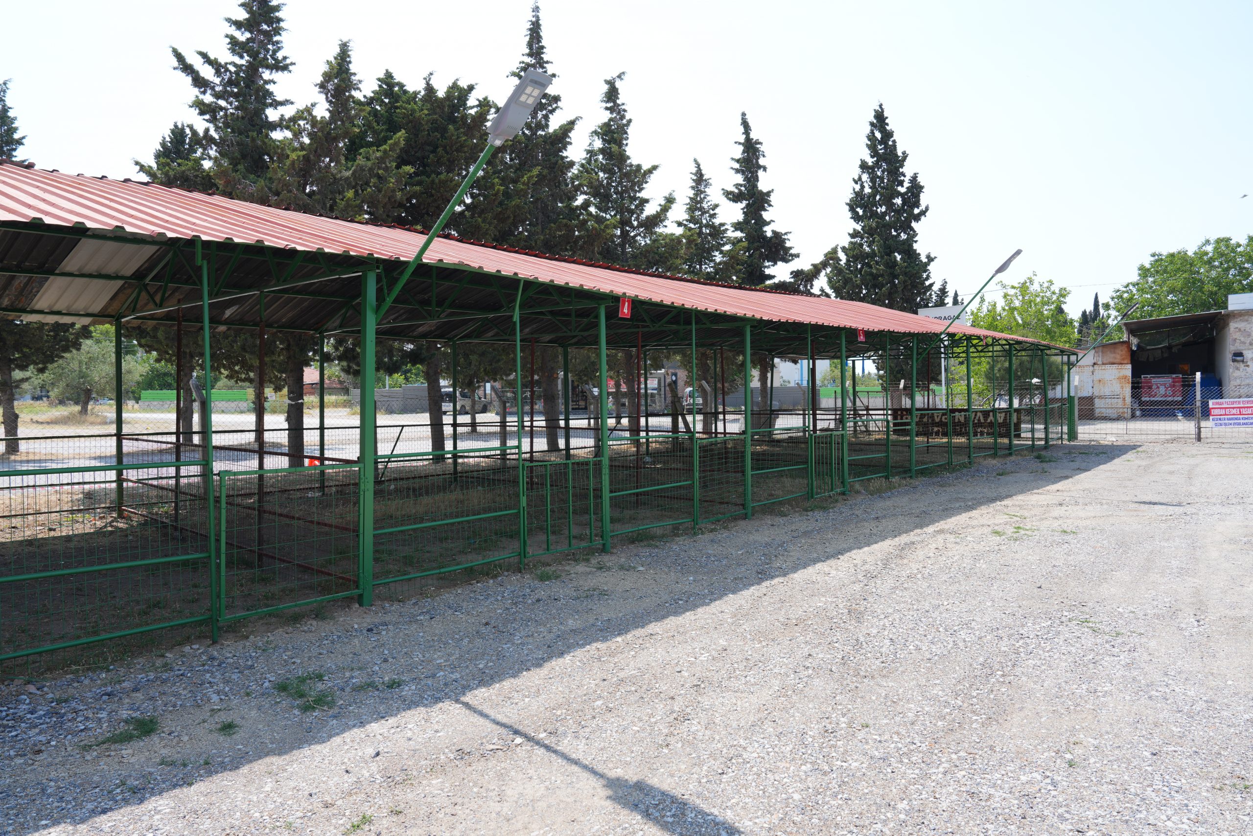SNY01867-scaled BURHANİYE KURBAN BAYRAMINA HAZIR