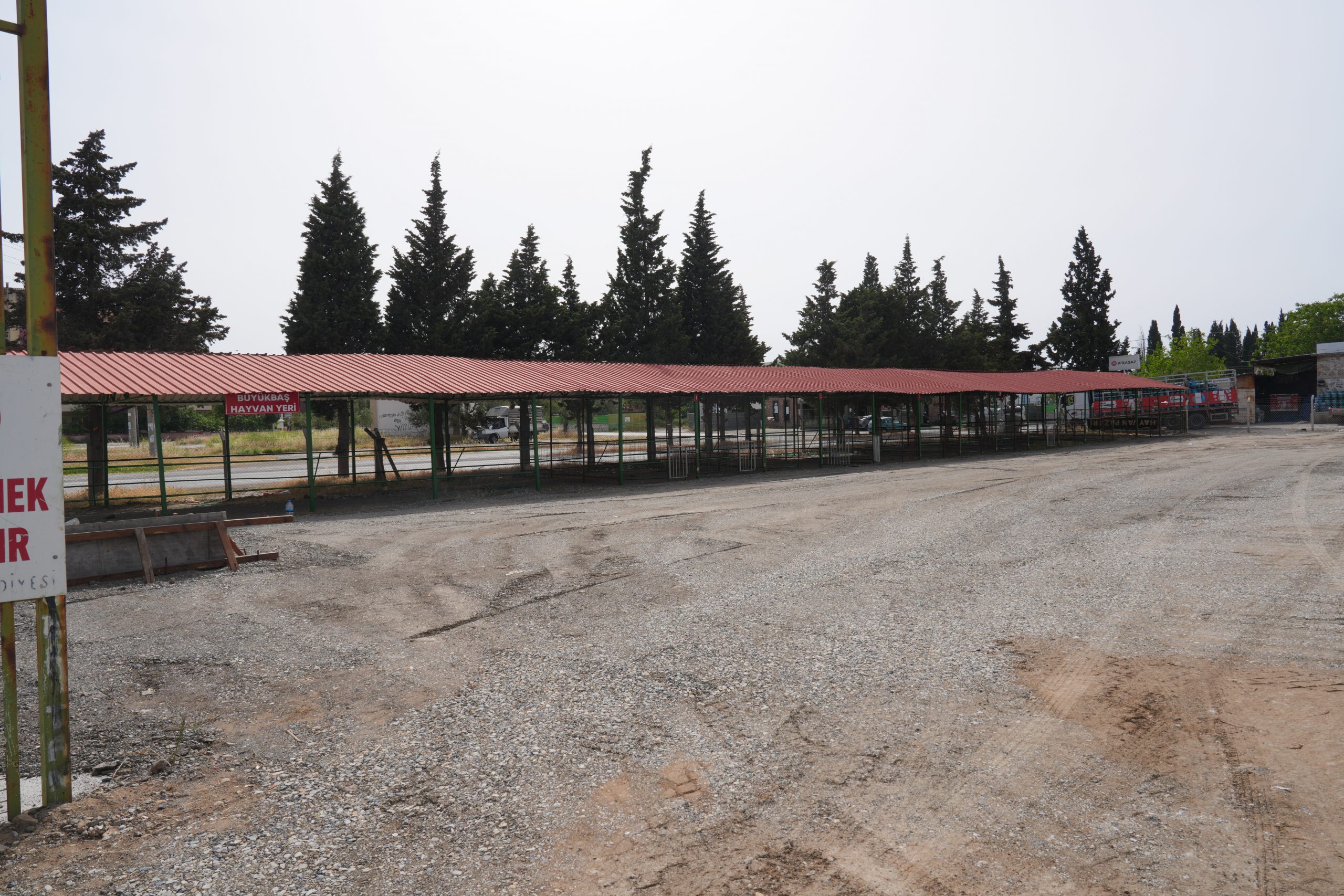 SNY04621-scaled BURHANİYE KURBAN BAYRAMINA HAZIR