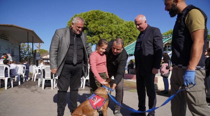 AYVALIK BELEDİYESİ’NDEN DÜNYA HAYVANLARI KORUMA GÜNÜ’NDE ANLAMLI MESAJ: “SATIN ALMA, SAHİPLEN”