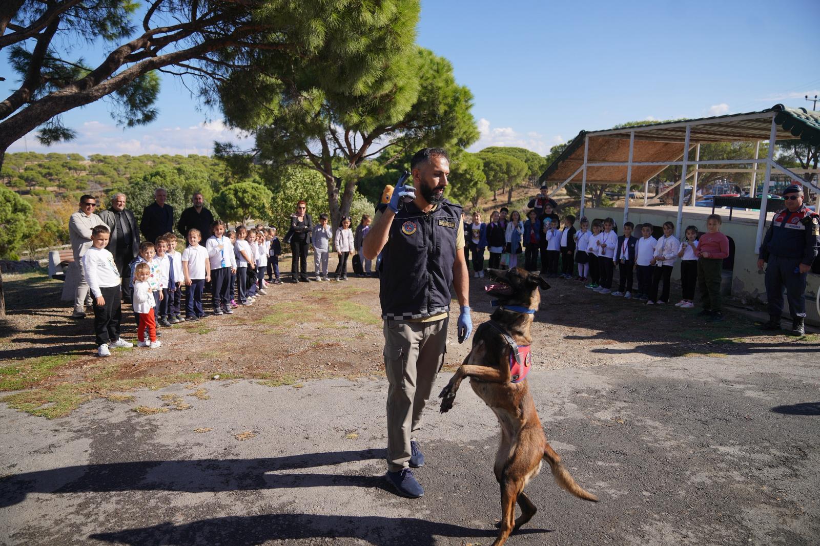 02-1 AYVALIK BELEDİYESİ’NDEN DÜNYA HAYVANLARI KORUMA GÜNÜ’NDE ANLAMLI MESAJ: “SATIN ALMA, SAHİPLEN”
