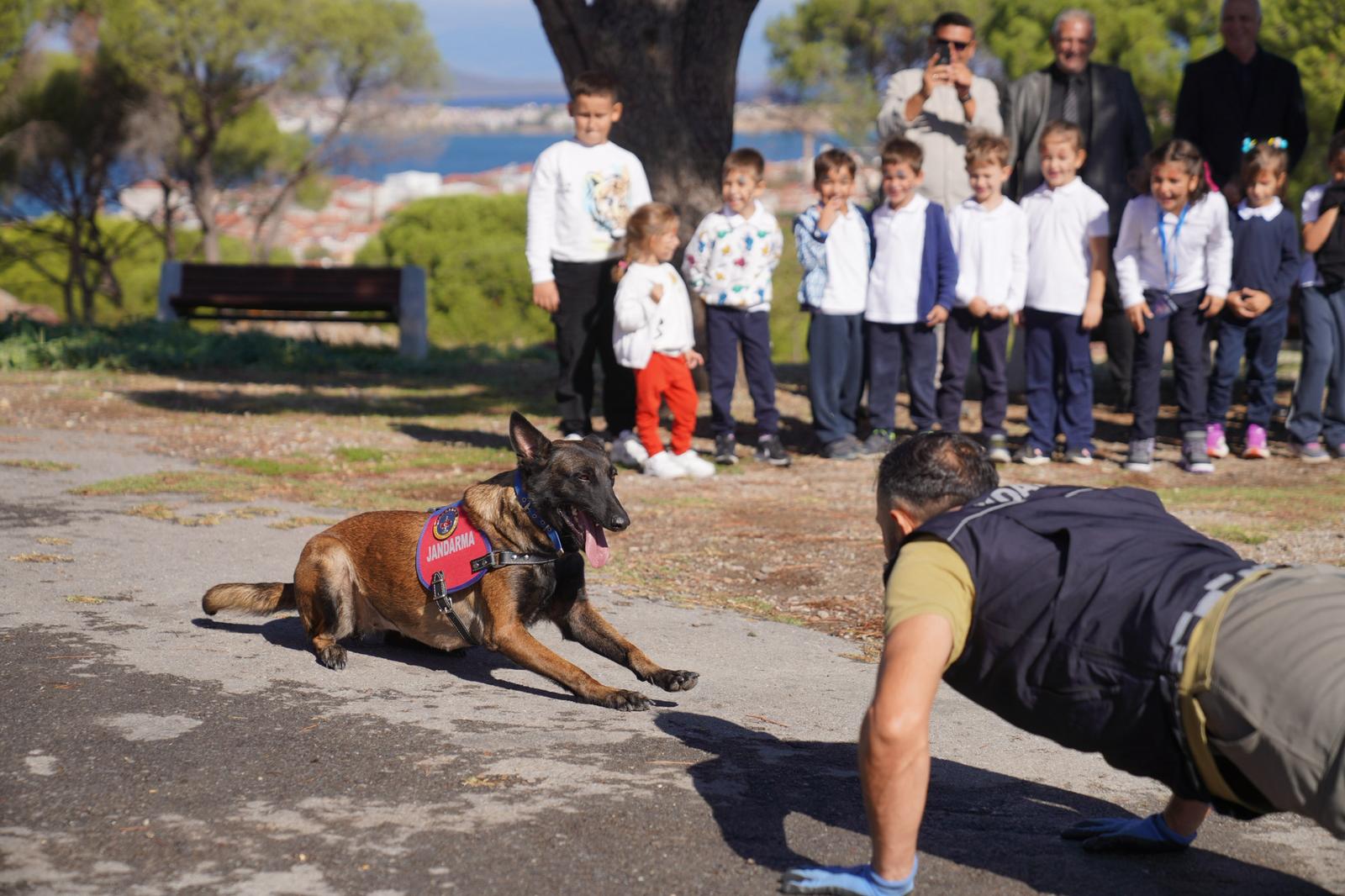 04-1 AYVALIK BELEDİYESİ’NDEN DÜNYA HAYVANLARI KORUMA GÜNÜ’NDE ANLAMLI MESAJ: “SATIN ALMA, SAHİPLEN”