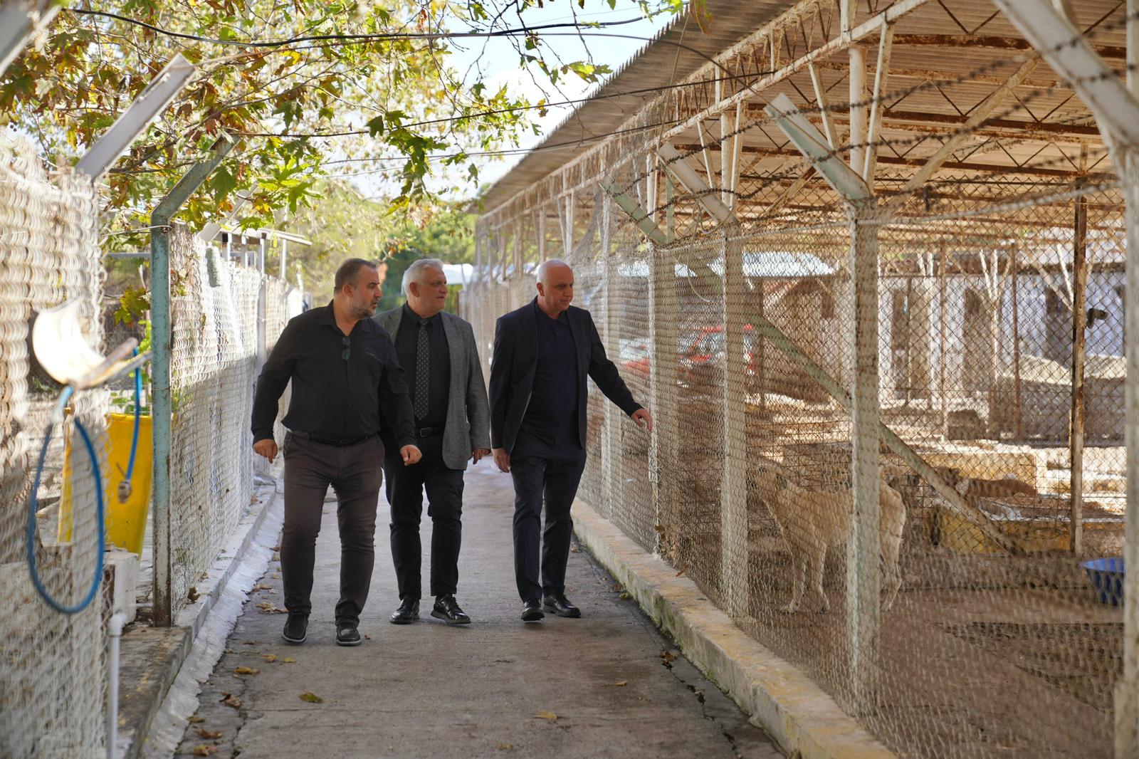 07-1 AYVALIK BELEDİYESİ’NDEN DÜNYA HAYVANLARI KORUMA GÜNÜ’NDE ANLAMLI MESAJ: “SATIN ALMA, SAHİPLEN”