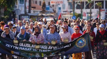 ZEYTİN HASADI, KONSERLER, ZEYTİN VE ZEYTİNYAĞI PAZARI, SÖYLEŞİLER, PANELLER, WORSHOPLAR İLE DOPDOLU BİR FESTİVAL