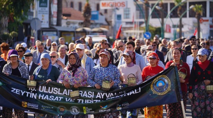 ZEYTİN HASADI, KONSERLER, ZEYTİN VE ZEYTİNYAĞI PAZARI, SÖYLEŞİLER, PANELLER, WORSHOPLAR İLE DOPDOLU BİR FESTİVAL