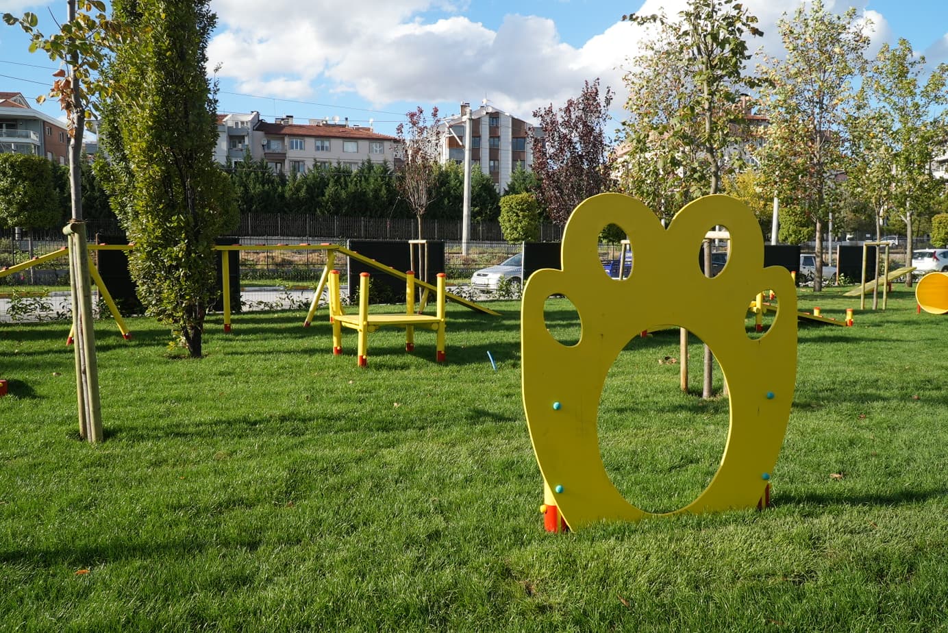 ahmet_akin_can_dostlari_pati_park_ile_bulusturdu_5 Ahmet Akın, can dostları Pati Park ile buluşturdu