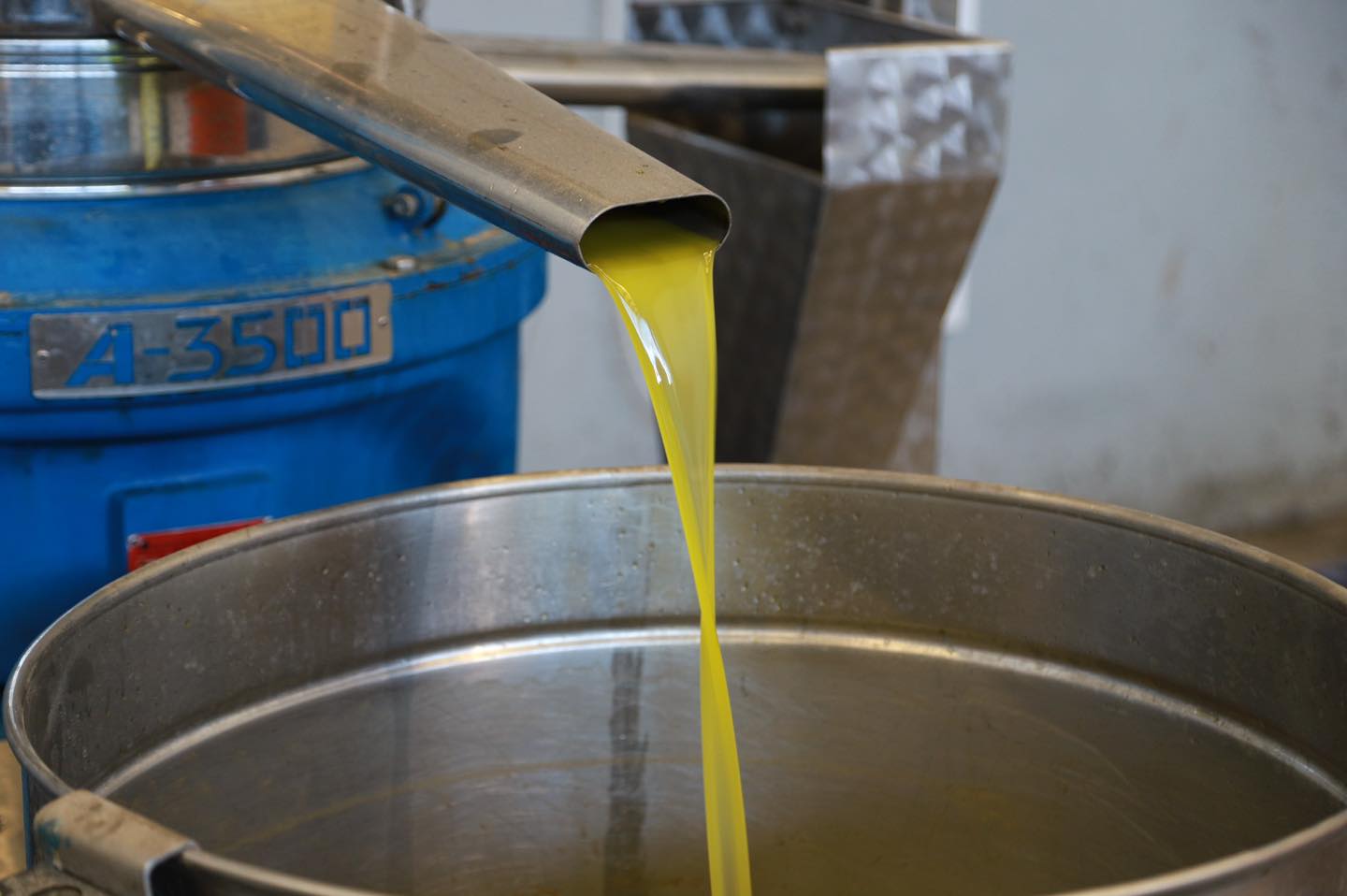 3-1 BURHANİYE BELEDİYESİ ZEYTİNYAĞLARI SATIŞA SUNULDU