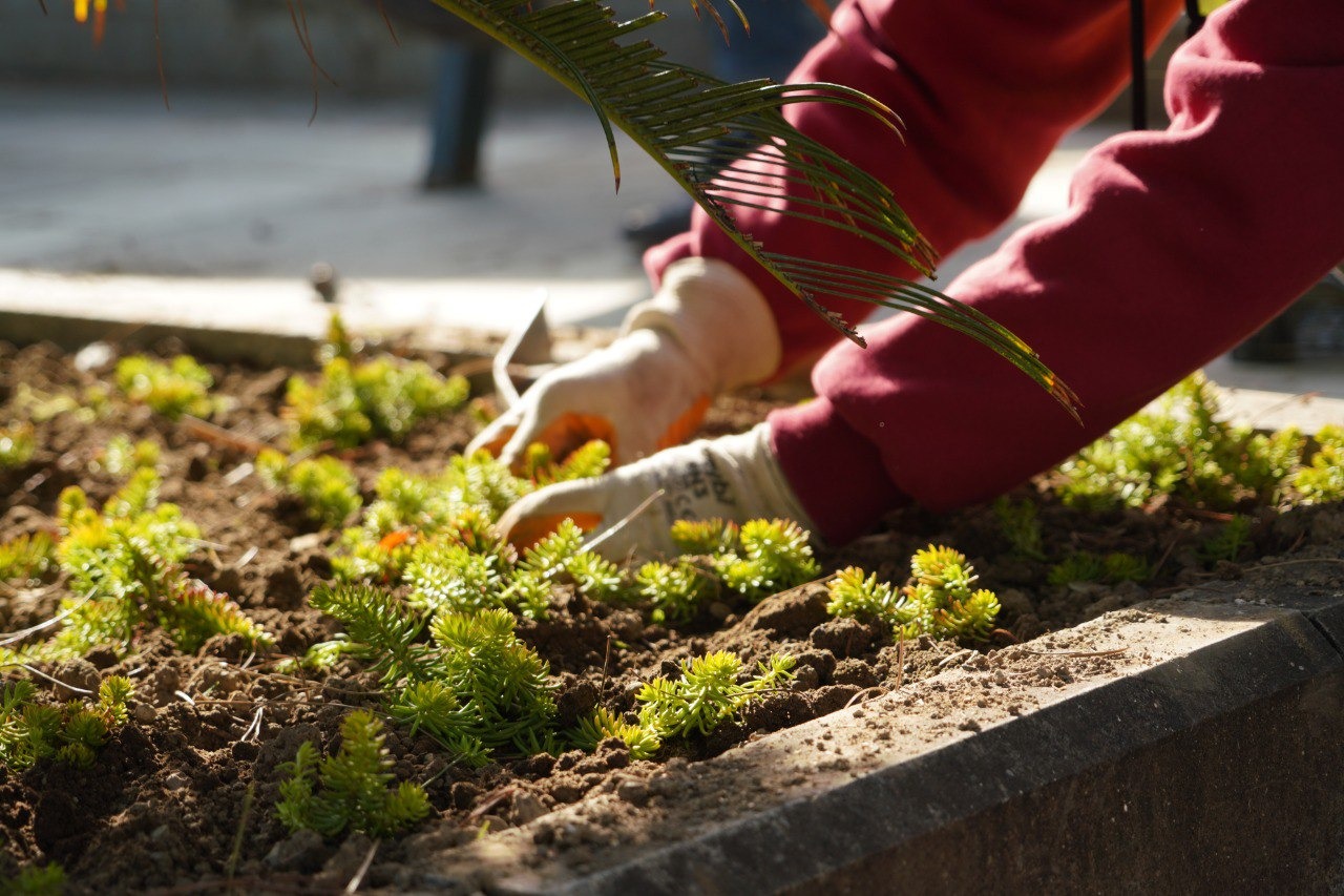 Park-ve-Yesil-Alanlari-Ile-Nefes-Alan-Edremit-3 PARK VE YEŞİL ALANLARI İLE NEFES ALAN EDREMİT..