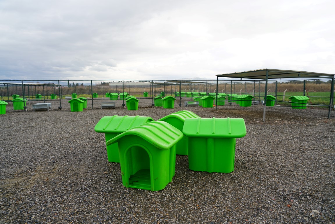 CAN-DOSTLARA-YENI-YASAM-ALANI-1 CAN DOSTLARA YENİ YAŞAM ALANI