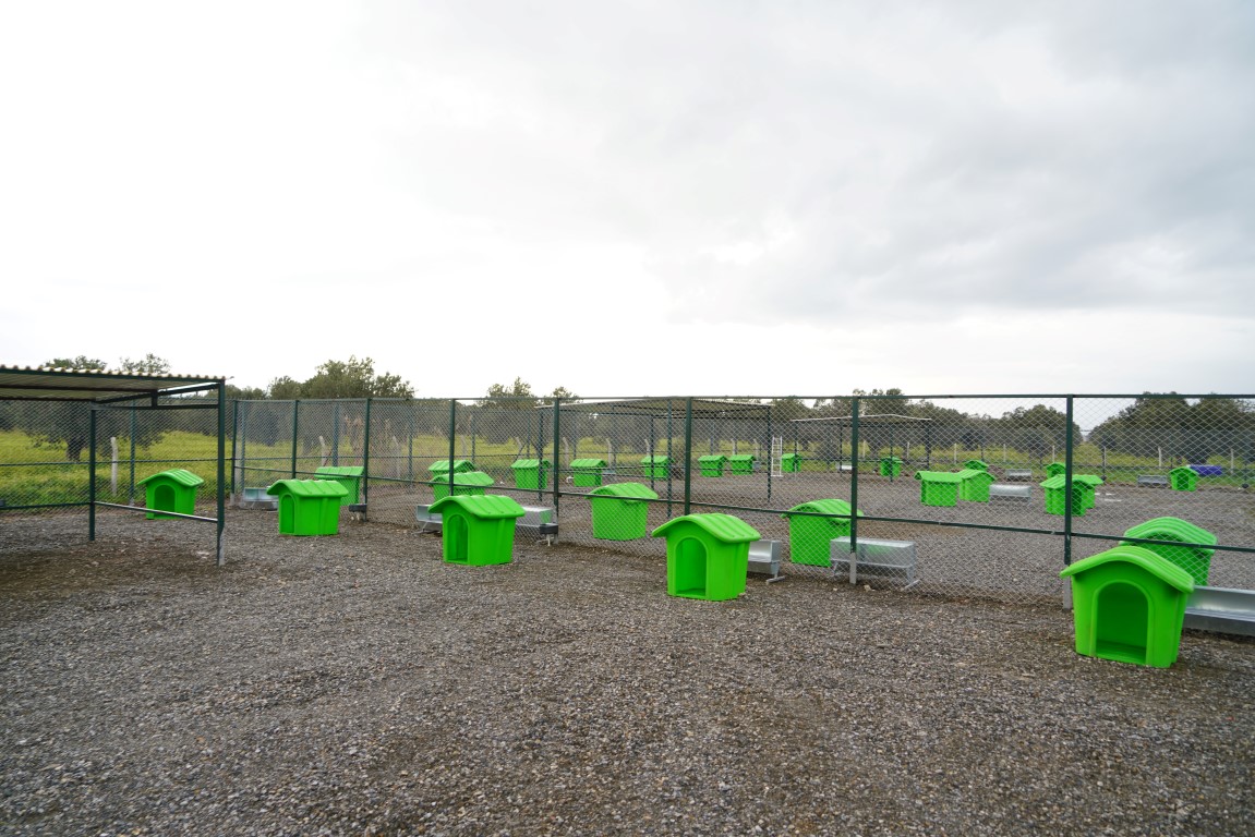 CAN-DOSTLARA-YENI-YASAM-ALANI-2 CAN DOSTLARA YENİ YAŞAM ALANI