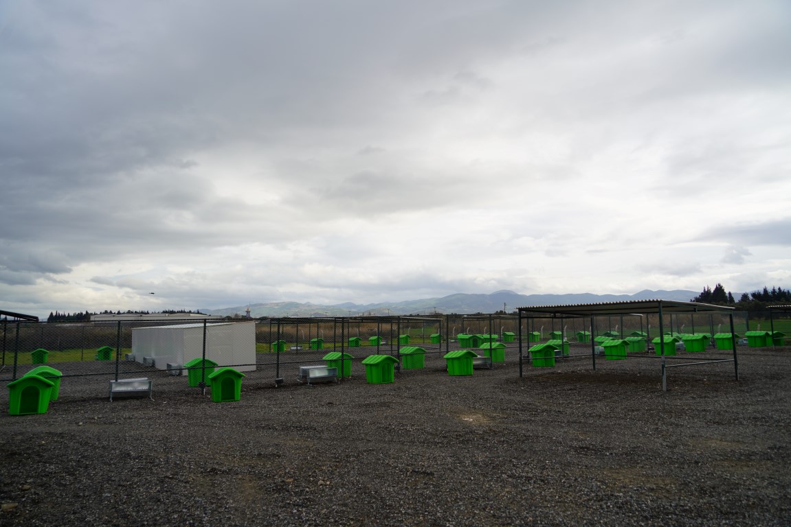 CAN-DOSTLARA-YENI-YASAM-ALANI-3 CAN DOSTLARA YENİ YAŞAM ALANI