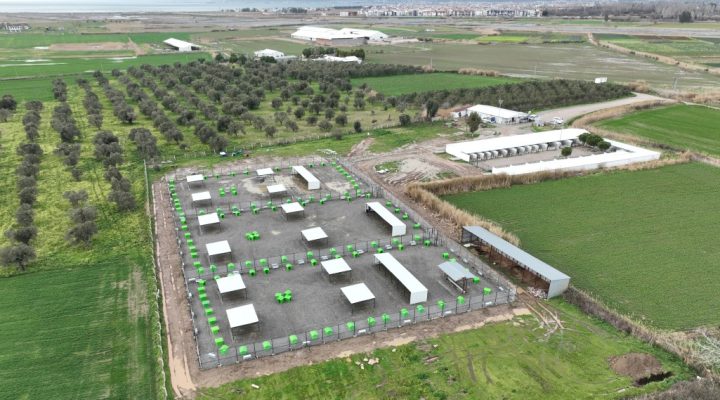 CAN DOSTLARA YENİ YAŞAM ALANI