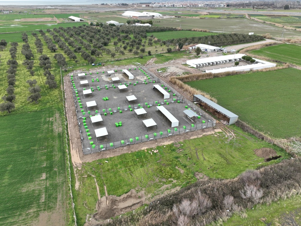 CAN DOSTLARA YENİ YAŞAM ALANI