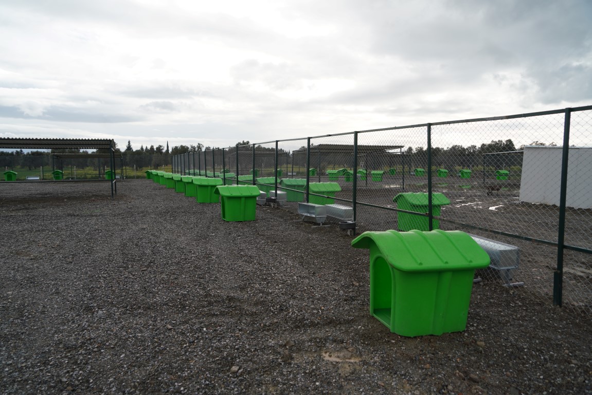 CAN-DOSTLARA-YENI-YASAM-ALANI-8 CAN DOSTLARA YENİ YAŞAM ALANI