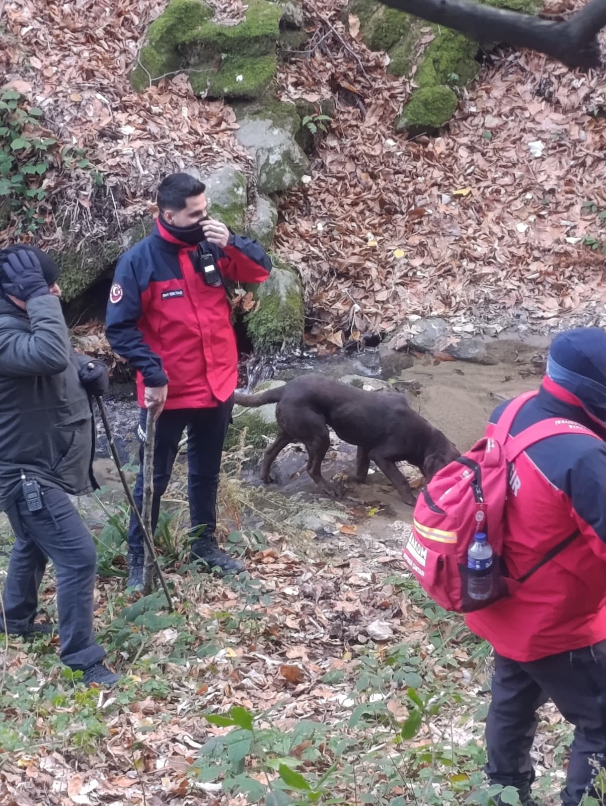 —Büyükşehir Belediyesi Elif için seferber oldu