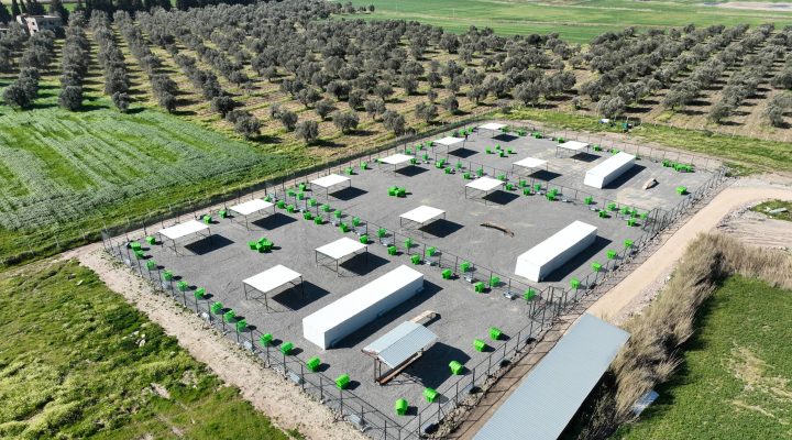 EDREMİT’TE CAN DOSTLAR İÇİN DOĞAL YAŞAM ALANI AÇILIYOR