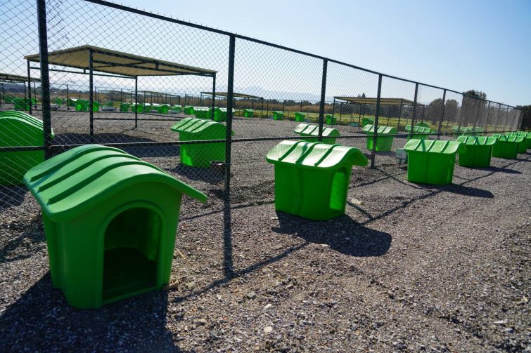 EDREMITTE-CAN-DOSTLAR-ICIN-DOGAL-YASAM-ALANI-ACILIYOR-13-755x503 EDREMİT’TE CAN DOSTLAR İÇİN DOĞAL YAŞAM ALANI AÇILIYOR