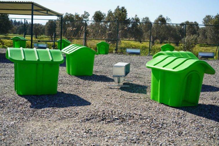 EDREMITTE-CAN-DOSTLAR-ICIN-DOGAL-YASAM-ALANI-ACILIYOR-14-755x503 EDREMİT’TE CAN DOSTLAR İÇİN DOĞAL YAŞAM ALANI AÇILIYOR