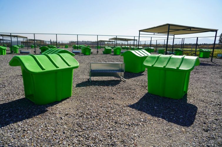 EDREMITTE-CAN-DOSTLAR-ICIN-DOGAL-YASAM-ALANI-ACILIYOR-15-755x503 EDREMİT’TE CAN DOSTLAR İÇİN DOĞAL YAŞAM ALANI AÇILIYOR