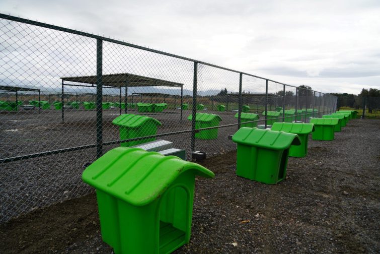 EDREMITTE-CAN-DOSTLAR-ICIN-DOGAL-YASAM-ALANI-ACILIYOR-3-755x504 EDREMİT’TE CAN DOSTLAR İÇİN DOĞAL YAŞAM ALANI AÇILIYOR