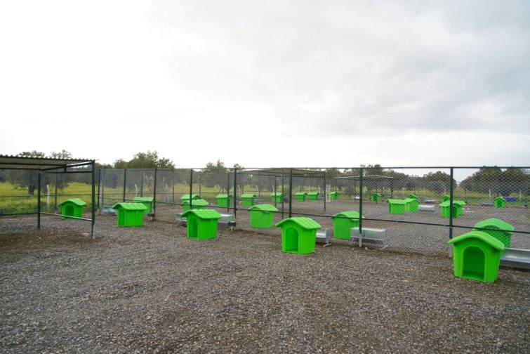 EDREMITTE-CAN-DOSTLAR-ICIN-DOGAL-YASAM-ALANI-ACILIYOR-4-755x504 EDREMİT’TE CAN DOSTLAR İÇİN DOĞAL YAŞAM ALANI AÇILIYOR