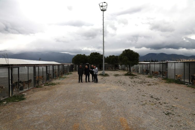 EDREMITTE-CAN-DOSTLAR-ICIN-DOGAL-YASAM-ALANI-ACILIYOR-6-755x503 EDREMİT’TE CAN DOSTLAR İÇİN DOĞAL YAŞAM ALANI AÇILIYOR