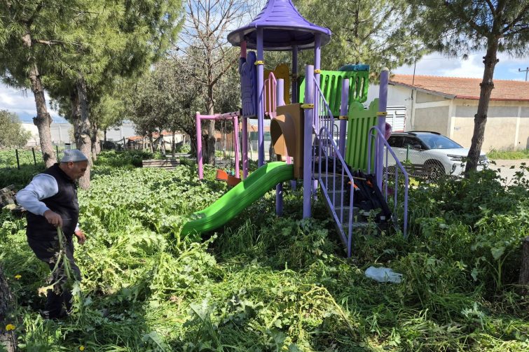 HABER-5-755x503 BURHANİYE BELEDİYESİ’NDEN YEŞİL ALANLARDA TİTİZ ÇALIŞMA