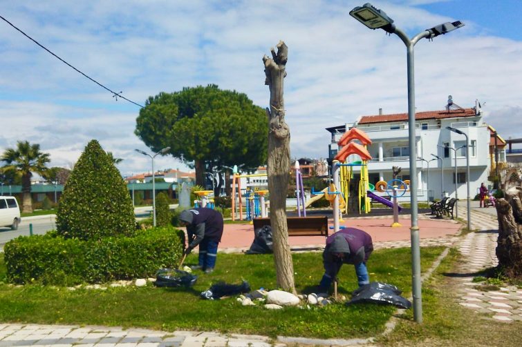 HABER-6-755x503 BURHANİYE BELEDİYESİ’NDEN YEŞİL ALANLARDA TİTİZ ÇALIŞMA