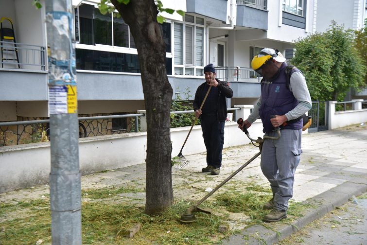 1-9-755x504 ALTIEYLÜL’DE PARK VE YEŞİL ALANLAR YAZA HAZIRLANIYOR