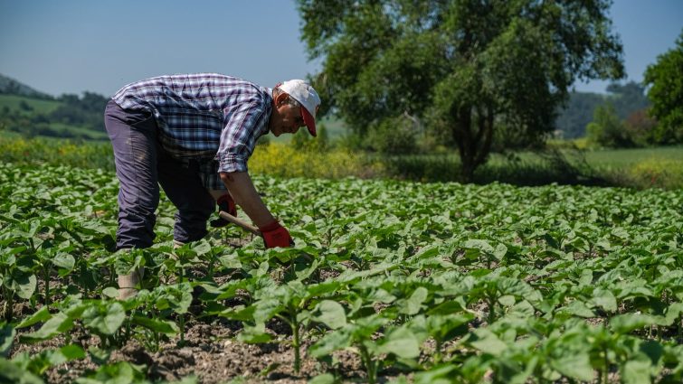 2-755x425 ALTIEYLÜL’DE KIRSAL ULAŞIM AĞI GÜÇLENİYOR